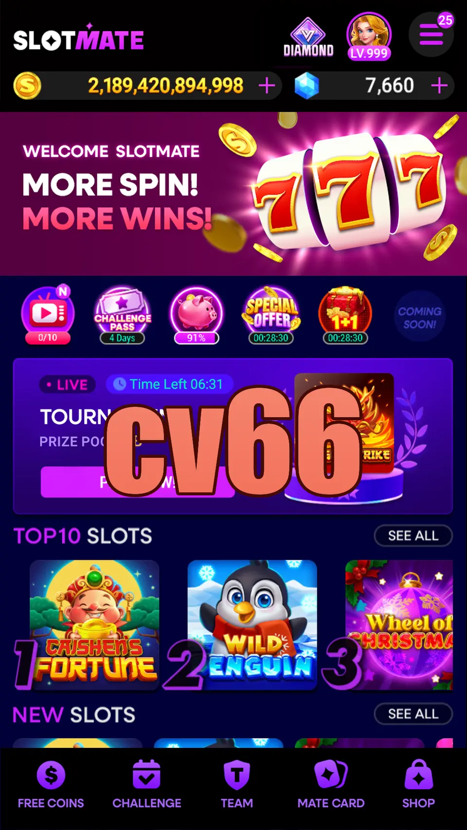cv66 লগইন